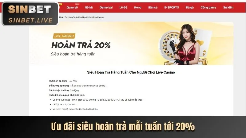 Hoàn trả hàng tuần 真人娱乐